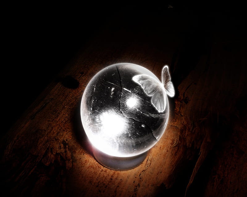 Crystal Ball and Butterfly .jpg, crystal, magic, crystalball, butterfly, HD wallpaper
