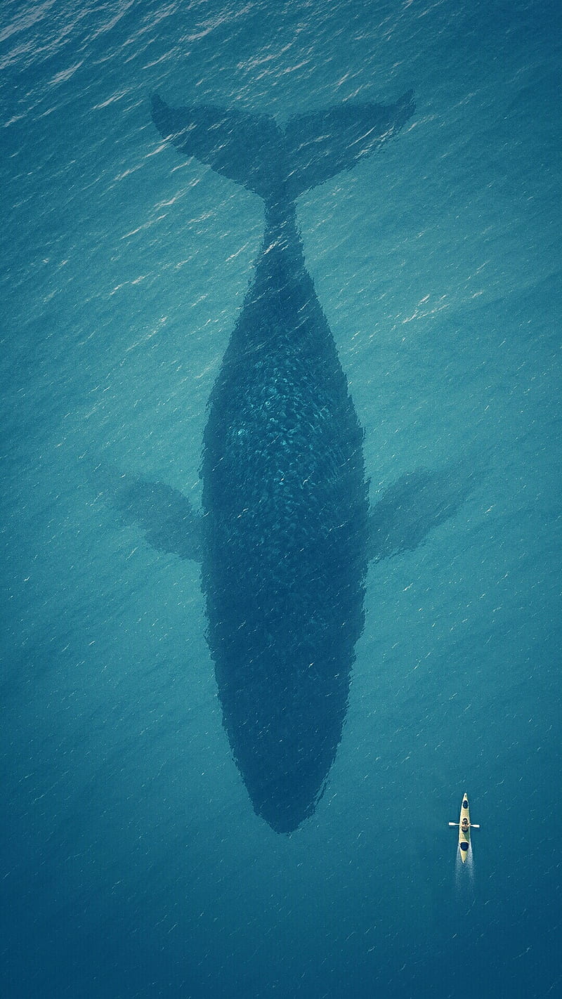 water, sea, boot, blue, whale, nebula, big, HD phone wallpaper