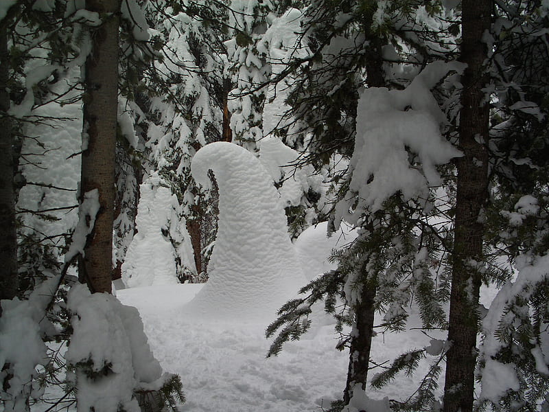 Snowy Swirl, forest, deep snow, swirl, trees, winter, HD wallpaper