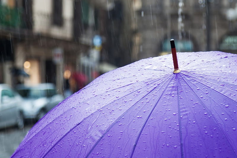 Rainy day, purple, water drops, texture, umbrella, rain, HD wallpaper