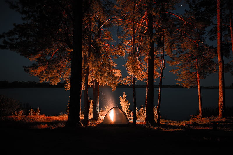 tent, campfire, camping, night, nature, HD wallpaper
