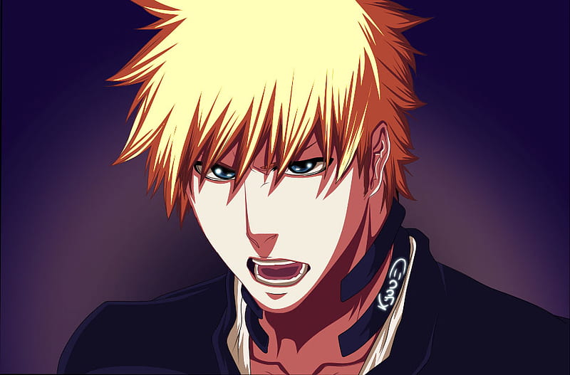 Ichigo Kurosaki - wide 7