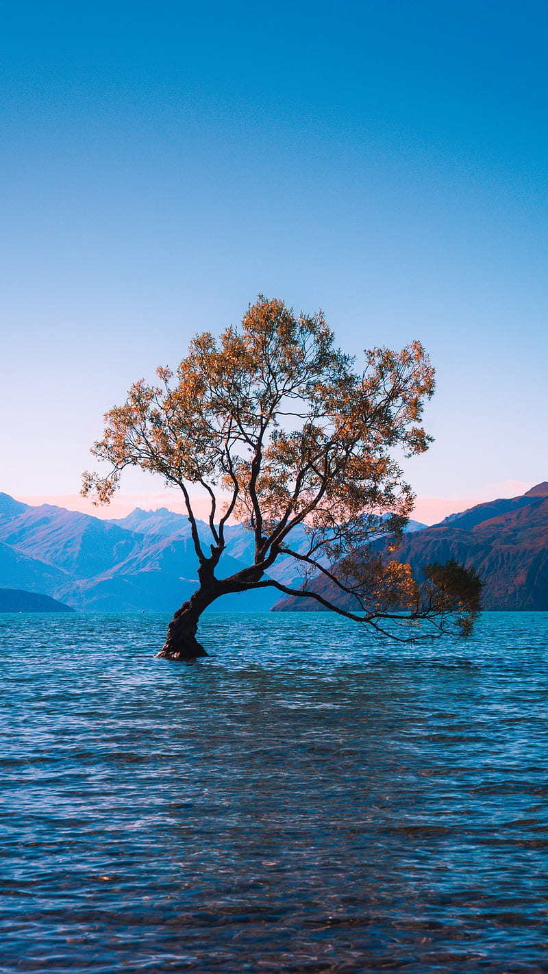 Miracle of Life, lake, mountain, sky, spring, tree, water, HD phone wallpaper