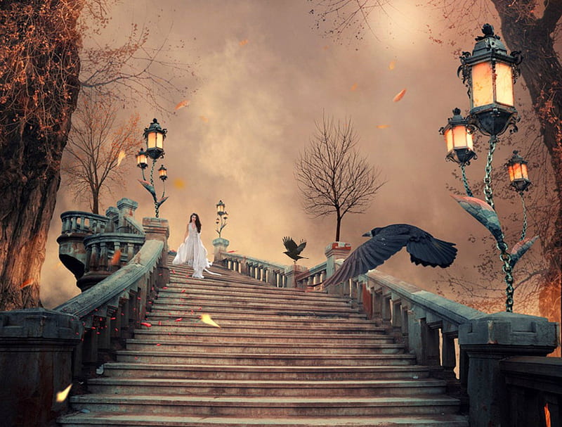 Royal fantasy, bird, girl, steps, lights, HD wallpaper