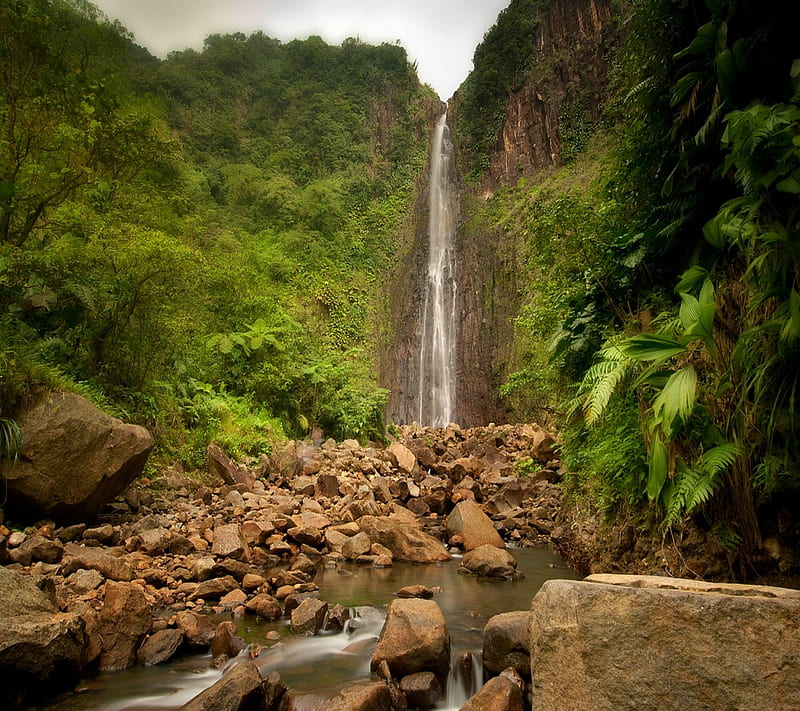 Rainy Forest, green, sv1991, waterfall, HD wallpaper