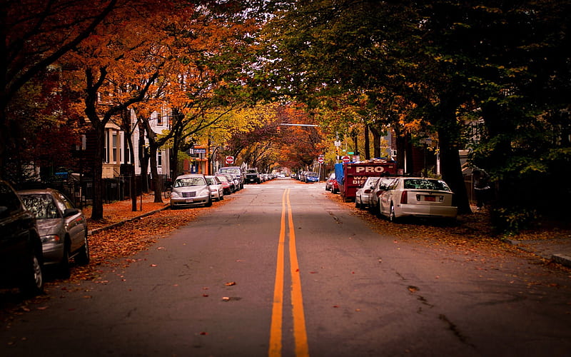 american town autumn-the city landscape graphy, HD wallpaper