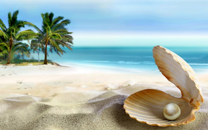 summer, sun, ocean, palm, emerald, sea, beach, seashell, sand, paradise, shell, peal, perl, tropical, coast, blue, HD wallpaper