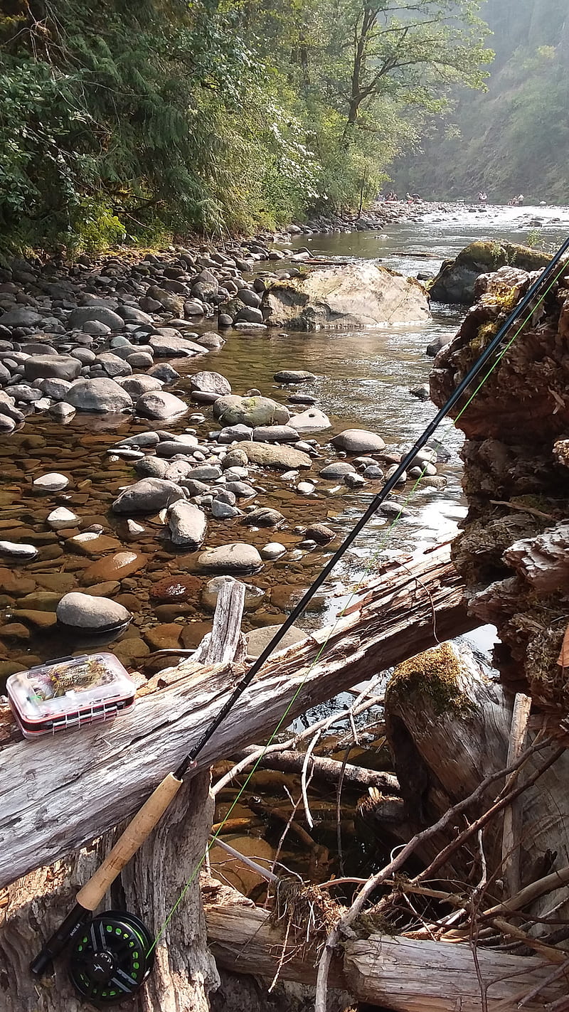 Fly fishing, nature, river, HD phone wallpaper