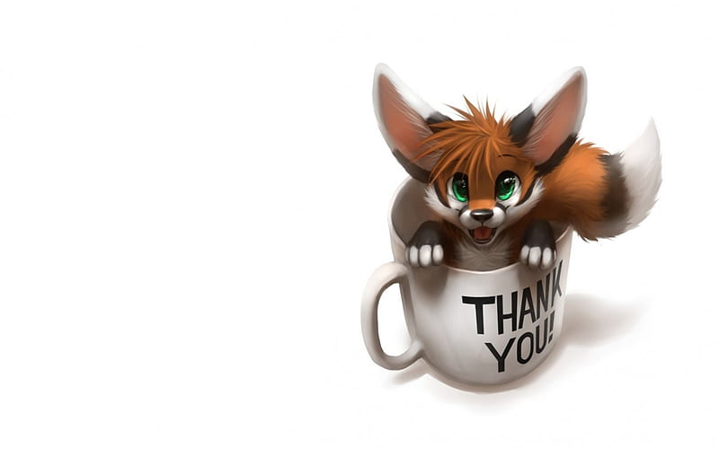 Thank you!, furry, orange, animal, card, cute, thank you, the fox, cup,  child, HD wallpaper | Peakpx