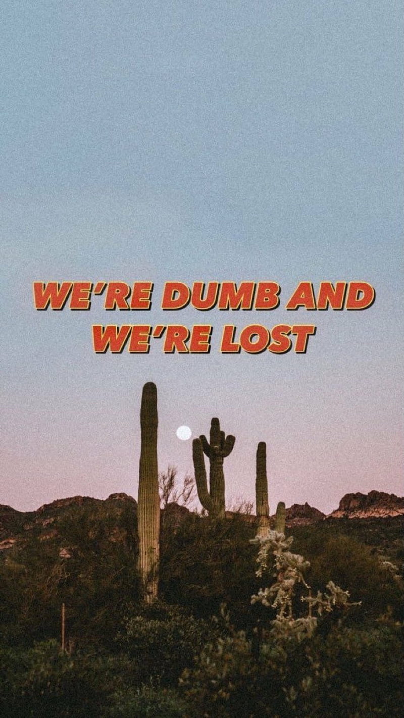 Dumb and lost , aesthetic, sunset, pretty, HD phone wallpaper