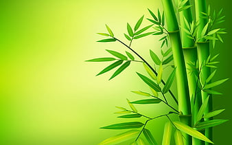 Buy Eurotex Polypropylene Green Bamboo Design PVC Wallpaper 53 x 1000 cm  (EW-0901) Online at Best Prices in India - JioMart.