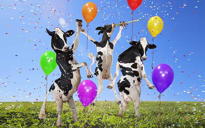 Happy Birthday Cow. Funny Cow Dance.