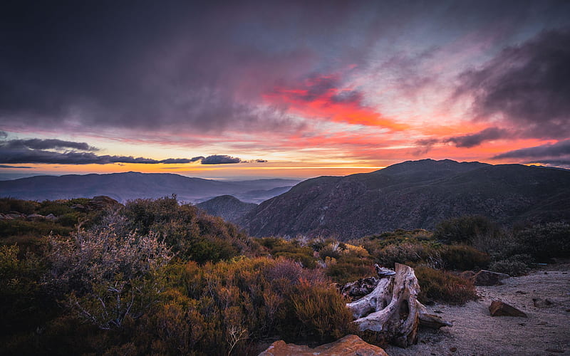 Good Morning, Desert - From Mt. Laguna 5,600' above, mountains, usa, california, sunrise, trees, sky, clouds, HD wallpaper
