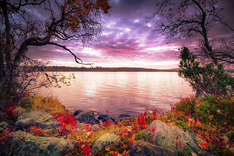 Lake, autum, nature, sky, HD wallpaper