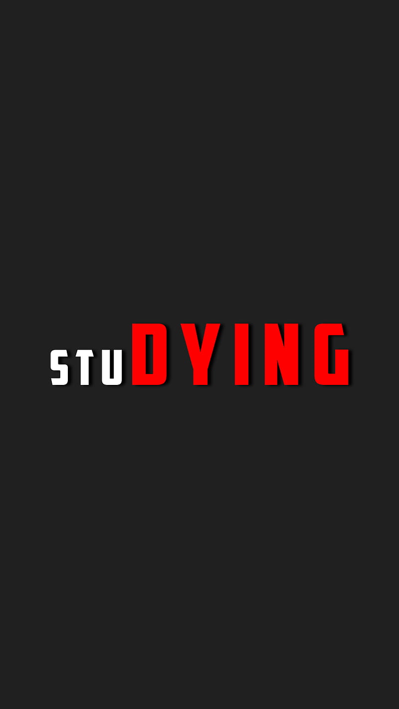 Studying, cool, nice, simple, HD phone wallpaper