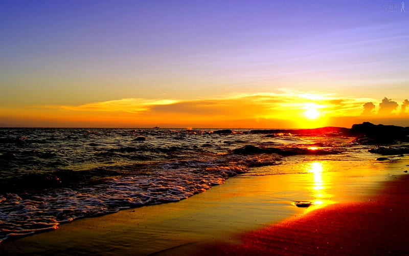 A GOLDEN DAY AWAITS, nature, sunrise, morning, ocean, HD wallpaper | Peakpx