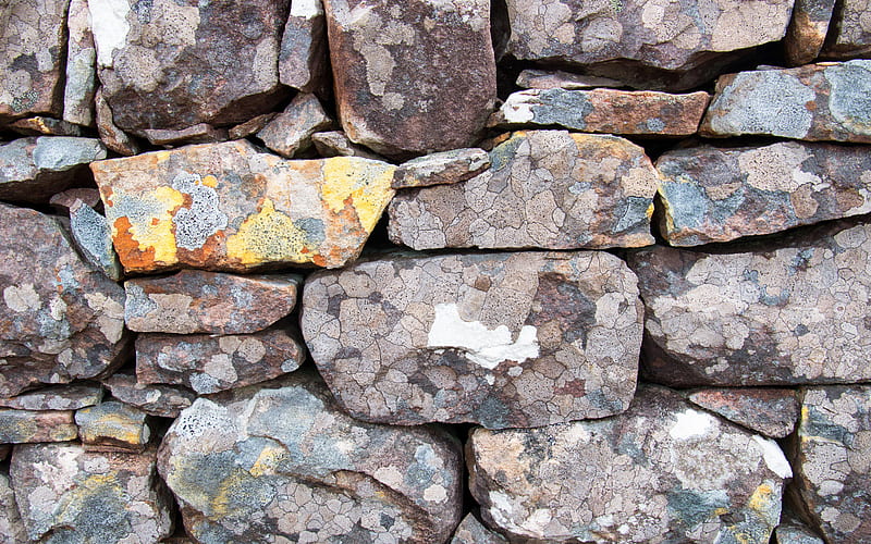 gray stone wall, close-up, stone textures, gray grunge background, macro, gray stones, stone backgrounds, gray backgrounds, gray stone, HD wallpaper