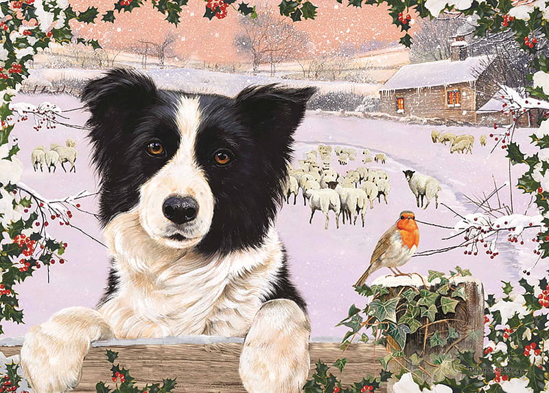 Border Collie, white, dog, art, paw, black, caine, iarna, winter, sheep, painting, pictura, HD wallpaper