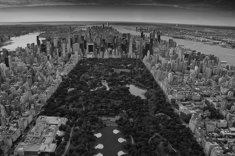 grayscale of Central Park, New York, HD wallpaper