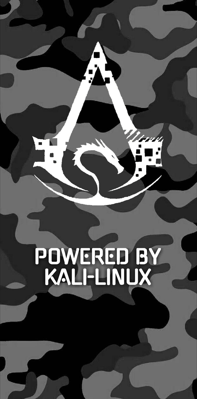 Kali Linux, linux, kali, technologie, hightech, HD phone wallpaper