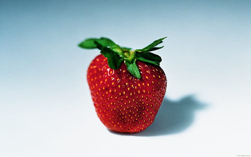 Fruit graphy Strawberry, HD wallpaper