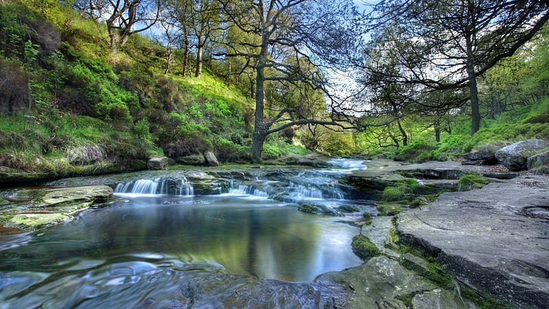 lovely river in the peak district in england, forest, rocks, flowing, river, hill, HD wallpaper