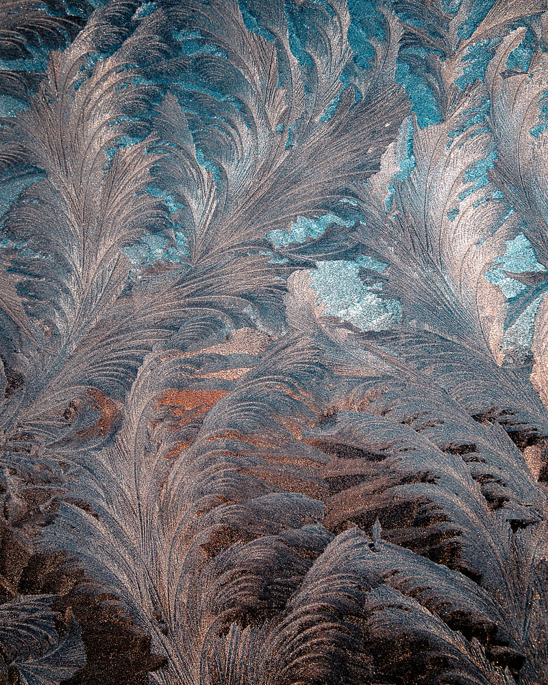 patterns, frosty pattern, glass, frost, ice, HD phone wallpaper