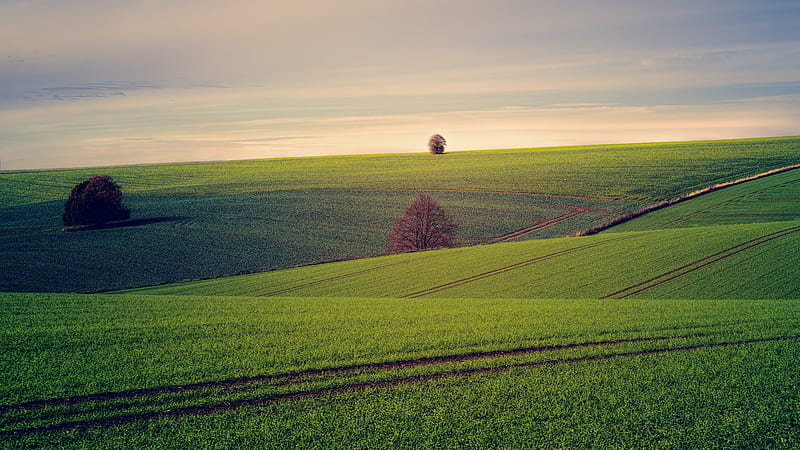 The field, peacful, large, farming, nature, field, agriculture, rural,  vast, HD wallpaper | Peakpx