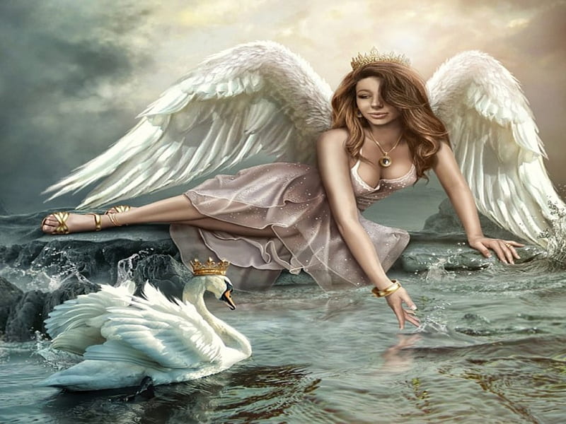 The Swan Princess Water Fantasy Swan Angel Hd Wallpaper Peakpx