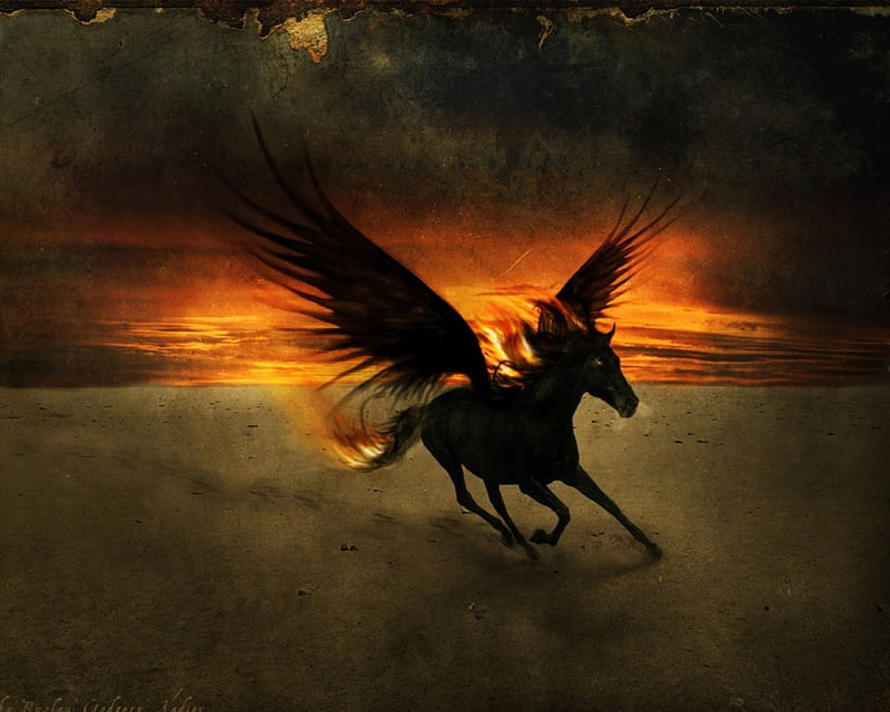 winged fire horse