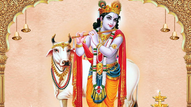 Krishna With Flute In Decorated Cow Background Krishna, HD wallpaper |  Peakpx