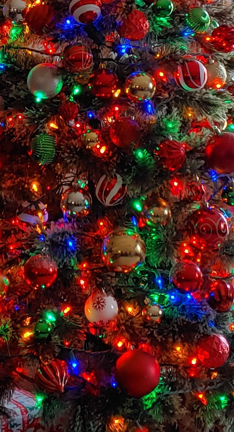 Christmas Time, abstract, christmas tree, color, decoration, lights ...