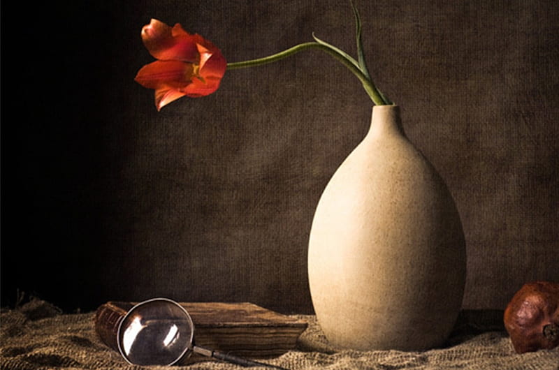 Still Life, vase, red, tulips, HD wallpaper | Peakpx