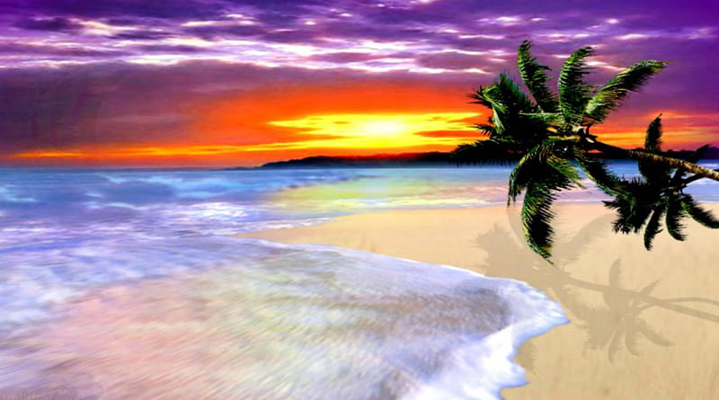 Summer Paradise ~*~, purple sunset, summer, summer paradise, sunset ...