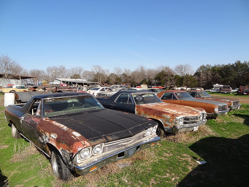 El Caminos Resting at The Little Valley Auto Ranch Belton Texas, chevy, el caminos, el camino, chevrolet, HD wallpaper