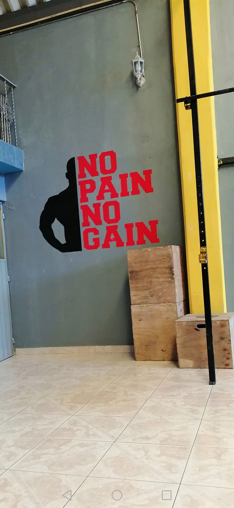 No Pain No Gain, cross, fitness, HD phone wallpaper | Peakpx