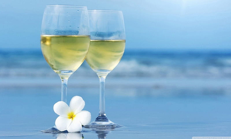 Sunny Cocktails, warm, wine, yellow, wine glasses, beach, sand, water, champagne, white, relaxing, single flower, blue, HD wallpaper