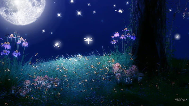 Twilight of the Moon, stars, glow, grass, firefox persona, sky, full moon,  dragonflies, HD wallpaper | Peakpx