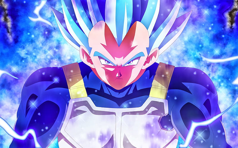 super saiyan 10 vegeta