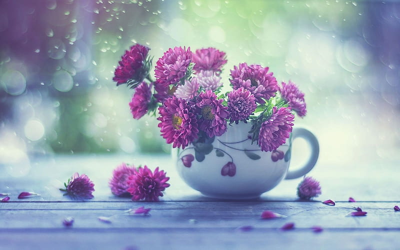 teacup, bouquet, flowers, HD wallpaper