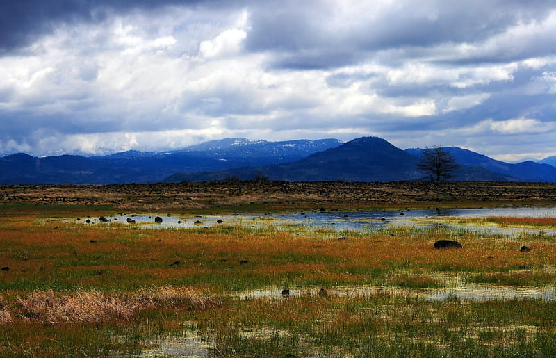 marsh lands, rocks, water, grass, mountains, trees, clouds, HD wallpaper