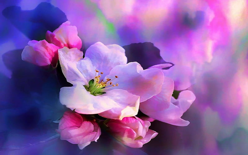 Flor de cerezo, flores, flores, árbol de flor de cerezo, arte digital,  primavera, Fondo de pantalla HD | Peakpx