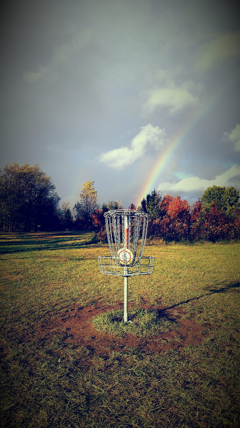 Disc golf love, disc golf, nature, rainbow, HD phone wallpaper