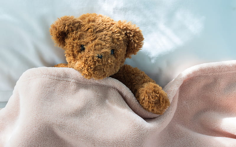 brown teddy bear, bed, blanket, cute toys, illness concepts, HD wallpaper