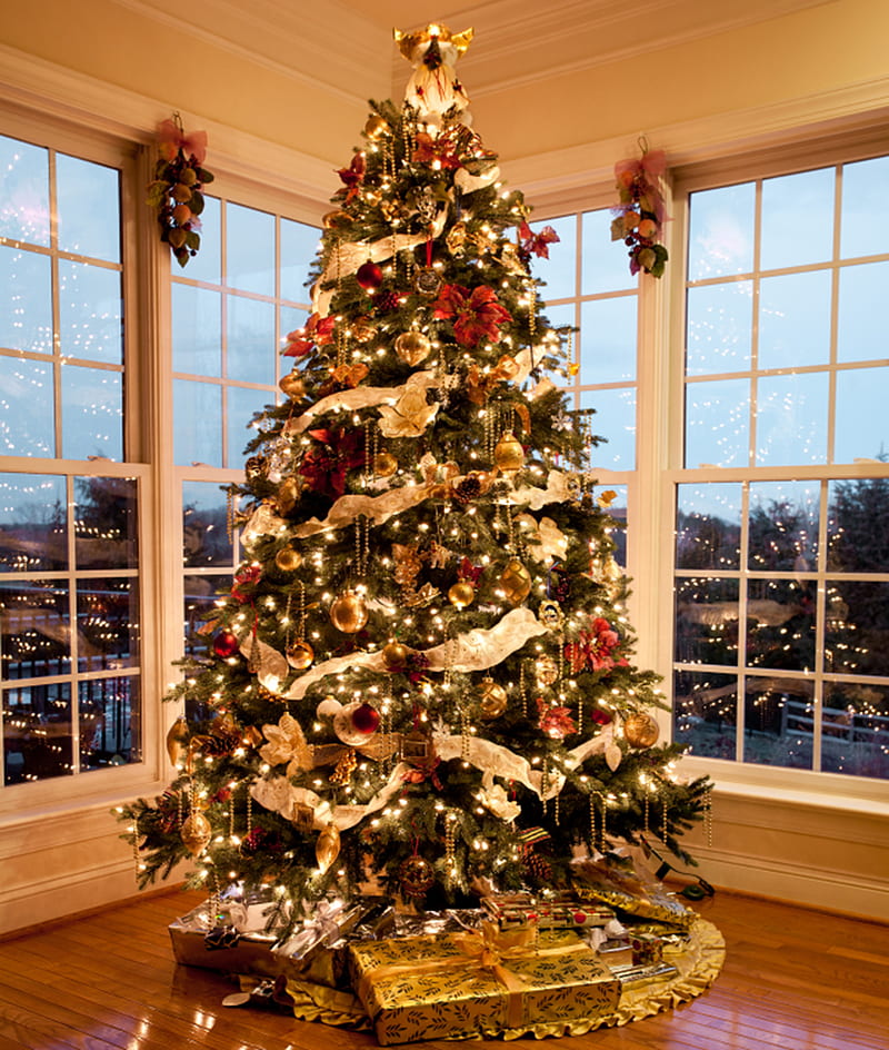 Christmas tree, christmas , holy, morning, night, santa, season, trees, HD phone wallpaper