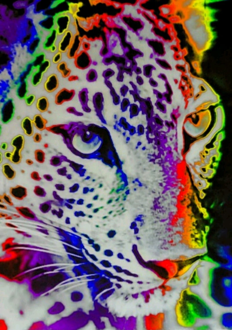 https://w0.peakpx.com/wallpaper/972/921/HD-wallpaper-cheeta-happy-colours-leopard-rainbow-tigers.jpg