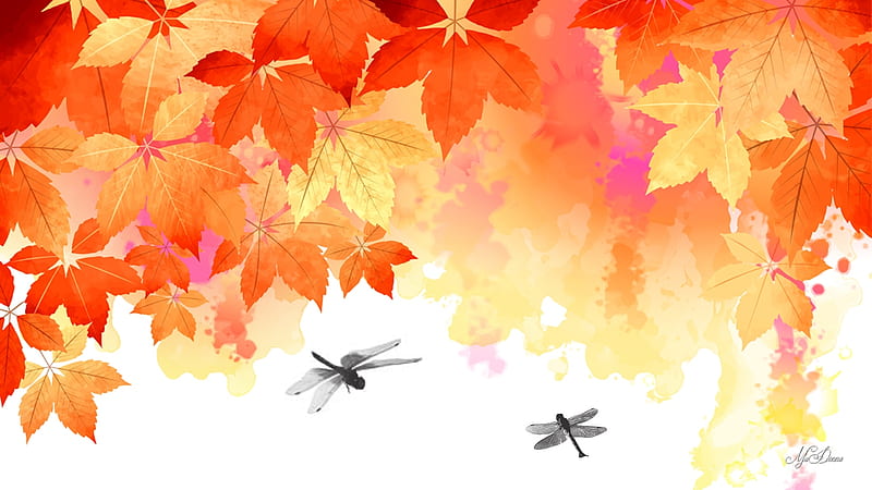 Watercolor Autumn, fall, autumn, orange, maple, yellow, leaves, gold, dragonflies, Firefox Persona theme, HD wallpaper