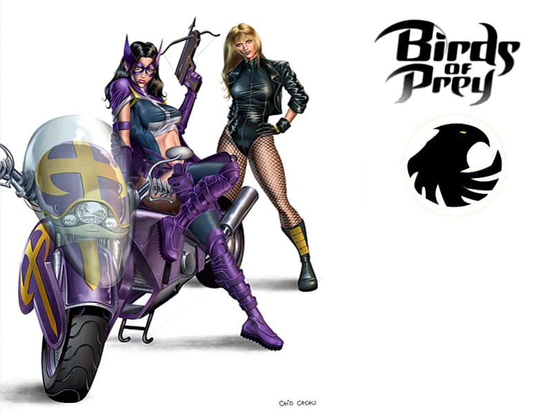Birds Of Prey, DC Comics, Comics, Superheroes, Huntress, Black Canary, HD wallpaper