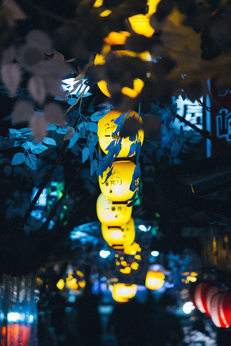 chinese lanterns, branches, decoration, light, glow, HD phone wallpaper