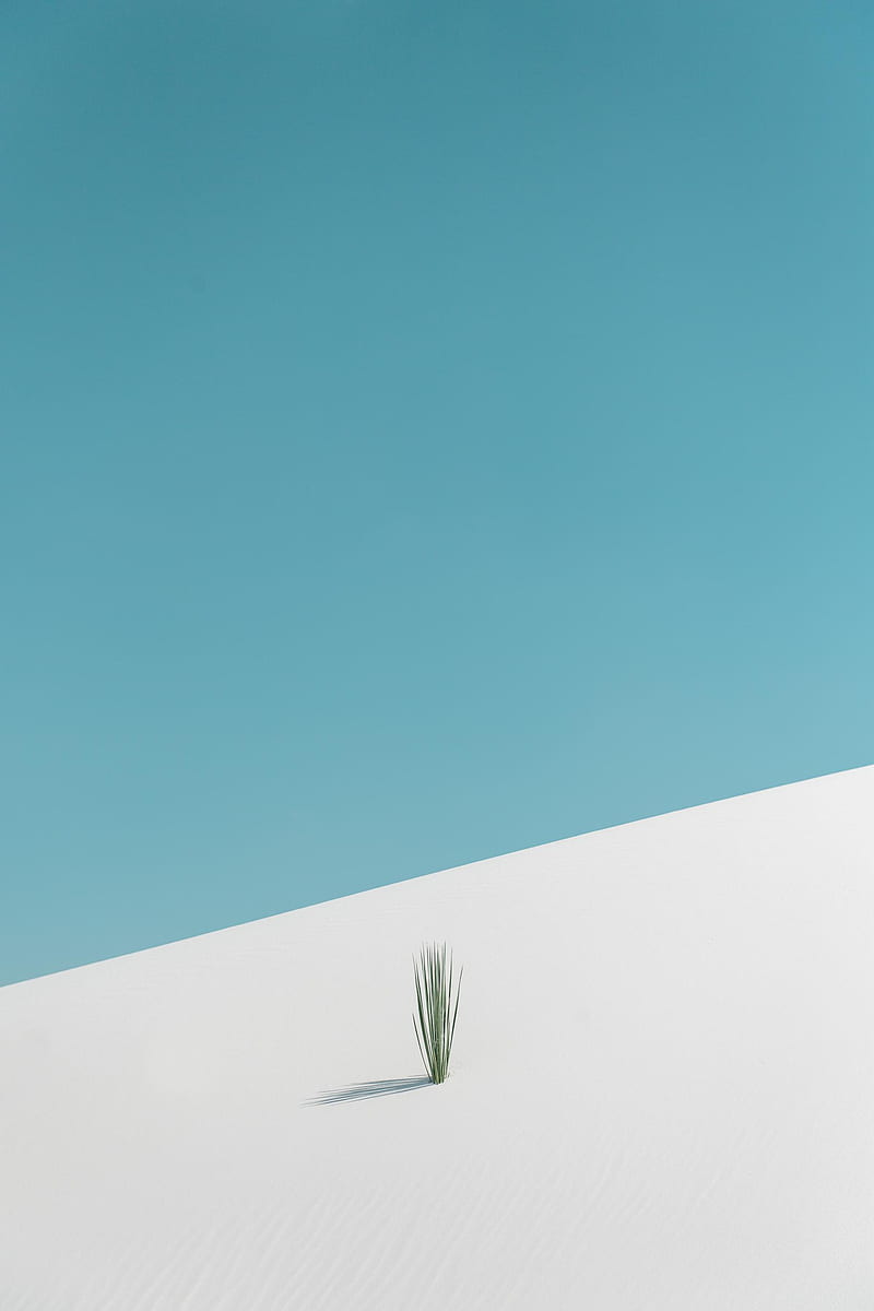 White Sands, android, iphone, minimalistic, sand, simple, HD phone wallpaper  | Peakpx